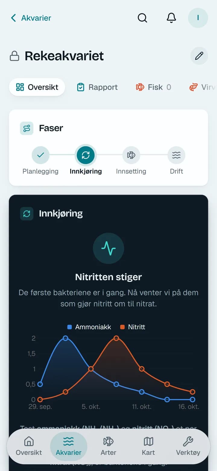 Indkøringen af et akvarium, med ammoniak og nitrit i en graf
